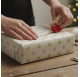 Papel de Embrulho 70cm Snowy Flakes Serenity