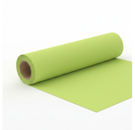 Papel de Embrulho 70cm Verjurado Spring Zest