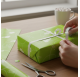Papel de Embrulho 70cm Greenery Doodles