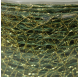 Golden green mesh ribbon 38mm x 29m