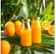 Garrafa para Sumos 250ml com Tampa Dourada