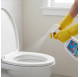 WC Cleaning Spray
