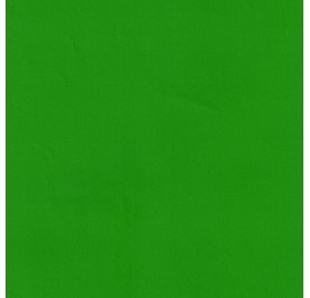 papel de embrulho liso verde