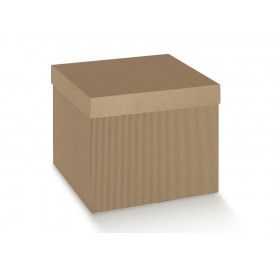 F/CECON 250X250X300 ON.AVANA