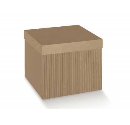 F/CECON 250X250X300 ON.AVANA