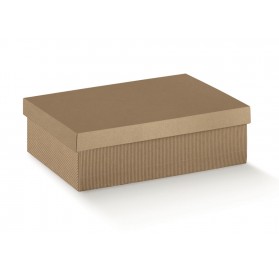 F/C-DP 240X170X100 ON.AVANA