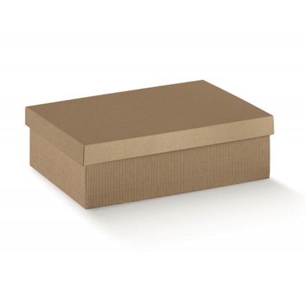 F/C-DP 240X170X100 ON.AVANA