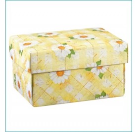 F/C-DP 100X70X60 PRATOLINA