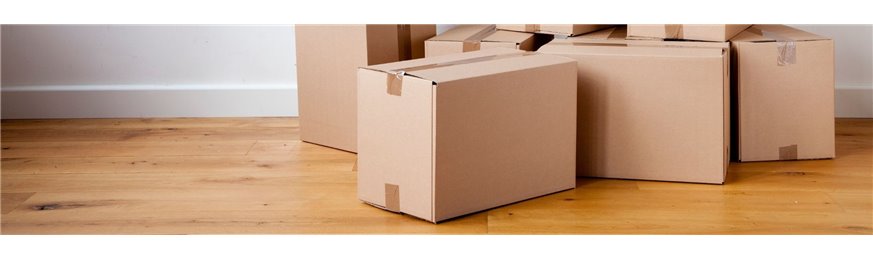 Scatole di cartone americano Modello