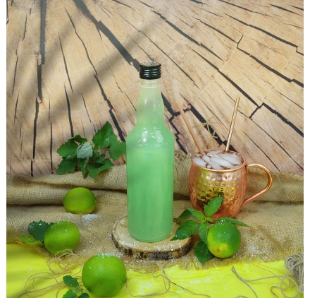 Flasche Plutão 500ml